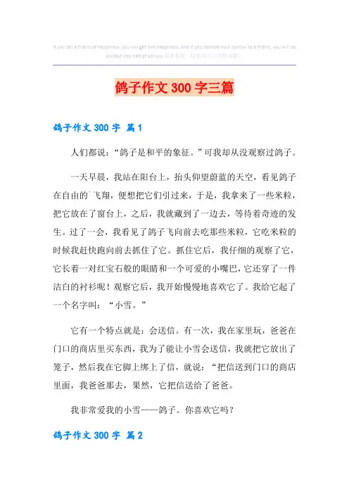 鸽子作文300字三篇