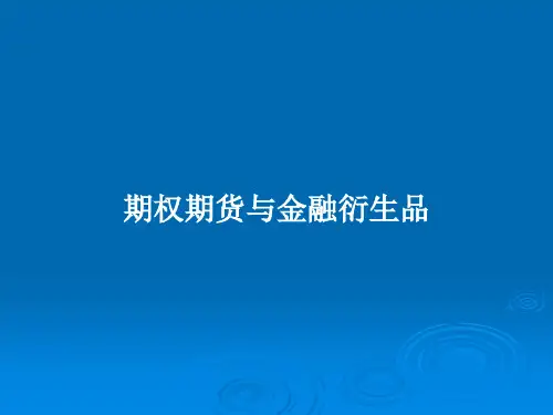 期权期货与金融衍生品PPT学习教案