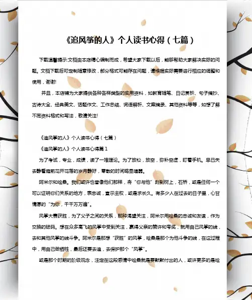 《追风筝的人》个人读书心得(七篇)