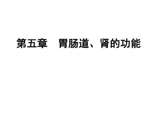 第五章 胃肠道、肾的功能 PPT课件