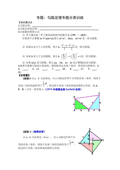 勾股定理专题训练(培优篇)