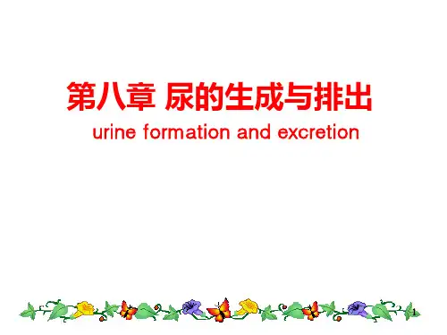 生理学 尿的生成和排出