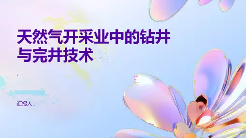 天然气开采业中的钻井与完井技术