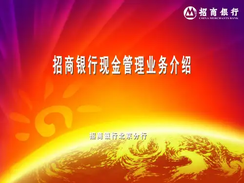 招商银行现金管理业务介绍精品文档