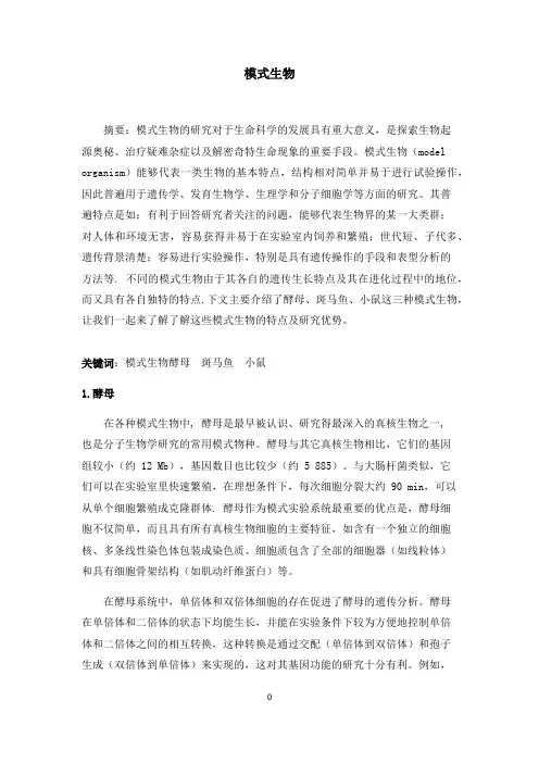 模式生物小结