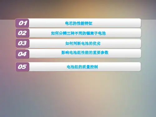 锂离子电池培训1电池的特性ppt课件.ppt