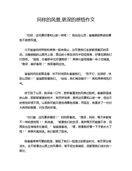 同样的风景,更深的感悟作文
