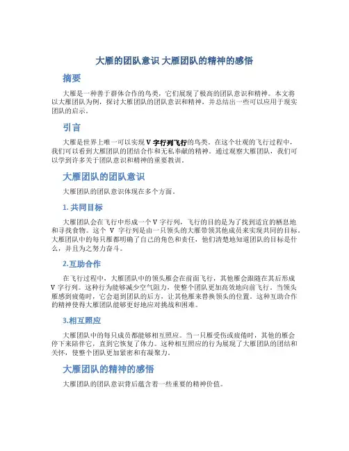 大雁的团队意识 大雁团队的精神的感悟