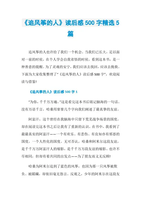 《追风筝的人》读后感500字精选5篇
