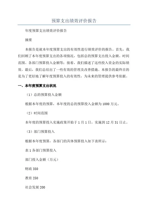 预算支出绩效评价报告