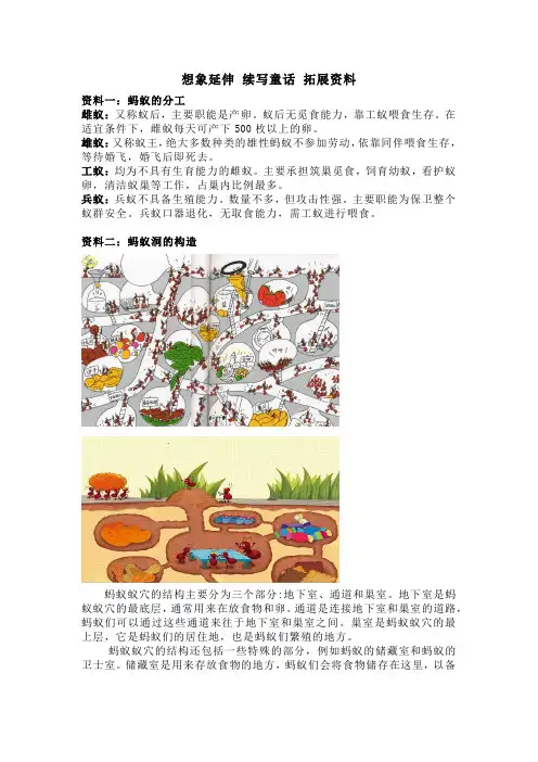 《一块奶酪》拓展资料