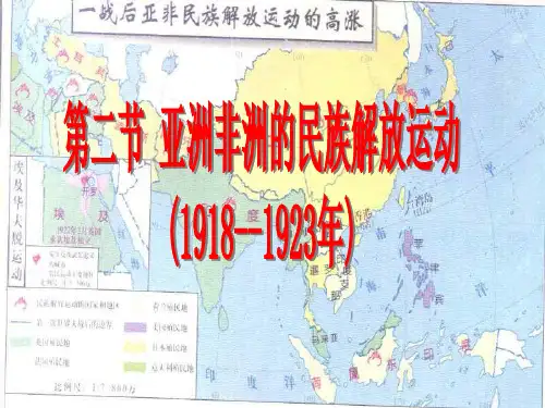 亚洲非洲民族解放运动.ppt