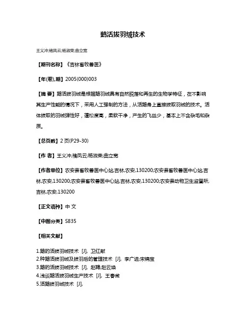 鹅活拔羽绒技术