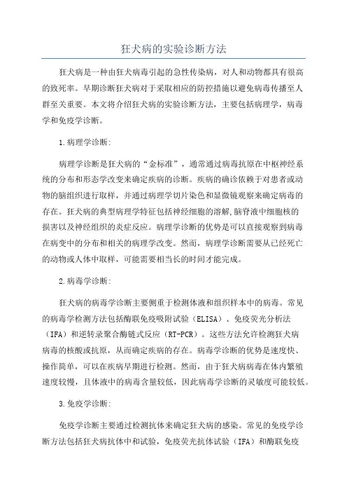 狂犬病的实验诊断方法