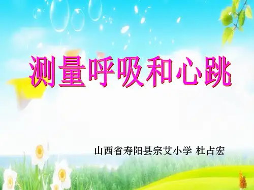 苏教版科学五年级上册测量呼吸和心跳 课件