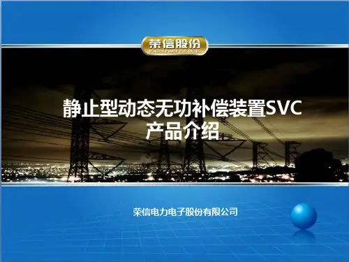 荣信SVC技术交流