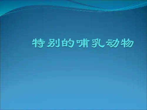 特别的哺乳动物——鸭嘴兽