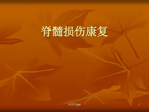 脊髓损伤康复最新PPT课件