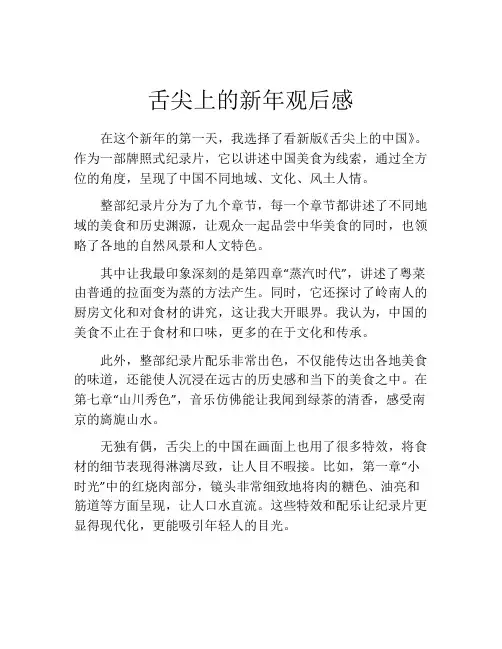 舌尖上的新年观后感