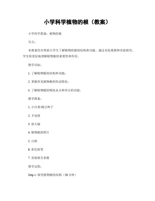 小学科学植物的根(教案)