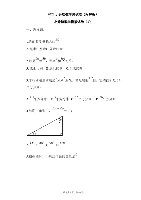2023小升初数学测试卷(附解析)