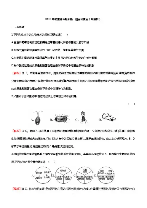 2018中考生物专题训练 细菌和真菌(带解析)