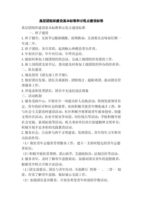 基层团组织建设基本标准和示范点建设标准（精简篇）
