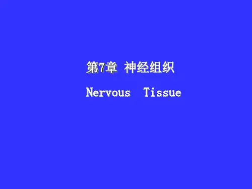组织学与胚胎学：第7章 神经组织