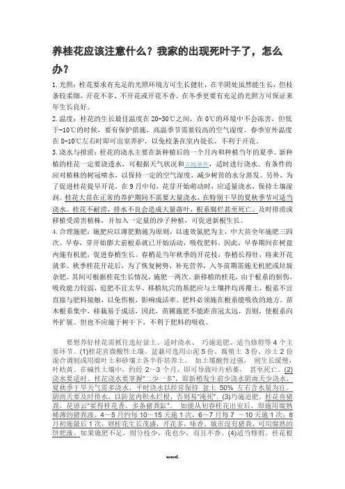 养桂花应该注意什么