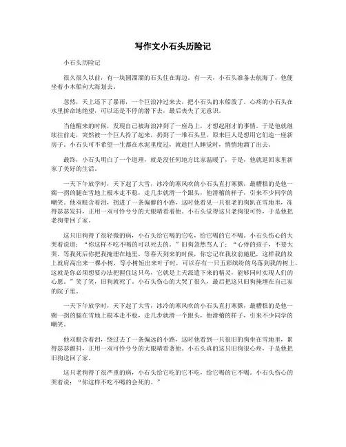 写作文小石头历险记