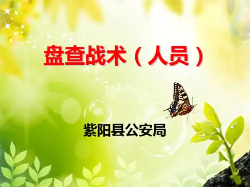 盘查战术(人员盘查)