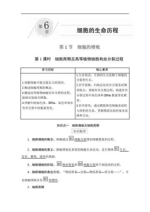 2020秋高一生物人教版必修1学案：第6章第1节第1课时细胞周期及高等植物细胞有丝分裂过程1