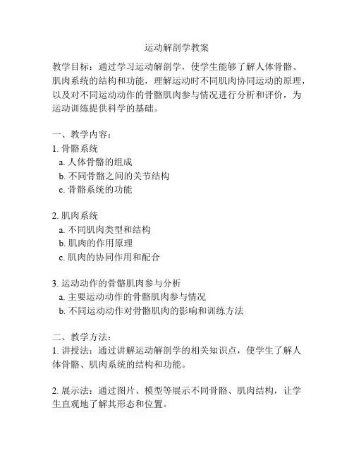 运动解剖学教案