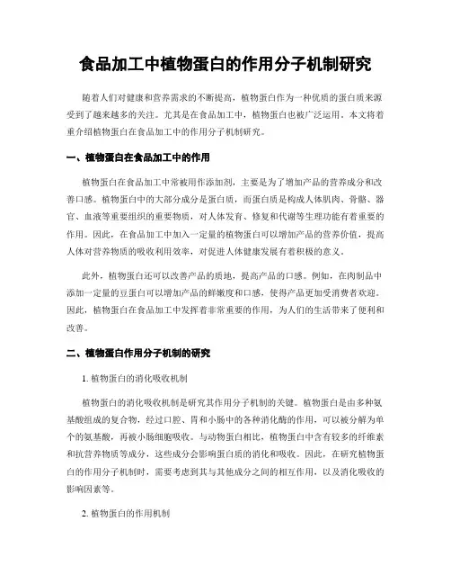 食品加工中植物蛋白的作用分子机制研究