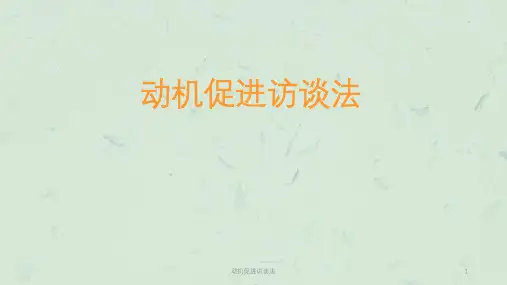 动机促进访谈法课件