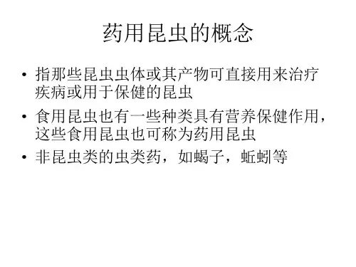 药用昆虫