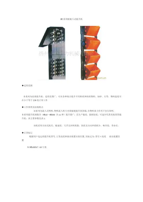 NE系列板链斗式提升机