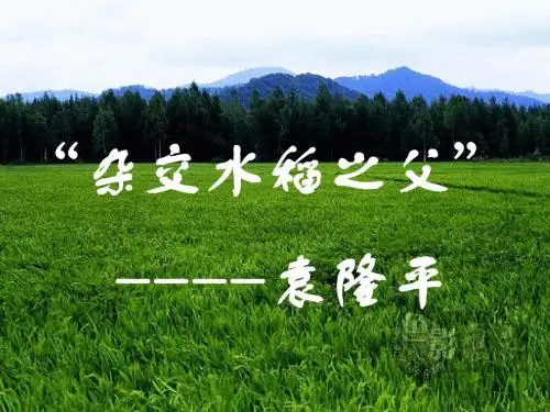 第8课《杂交水稻之父-袁隆平》