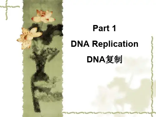 朱玉贤《分子生物学》课件Part 1 Replication 复制
