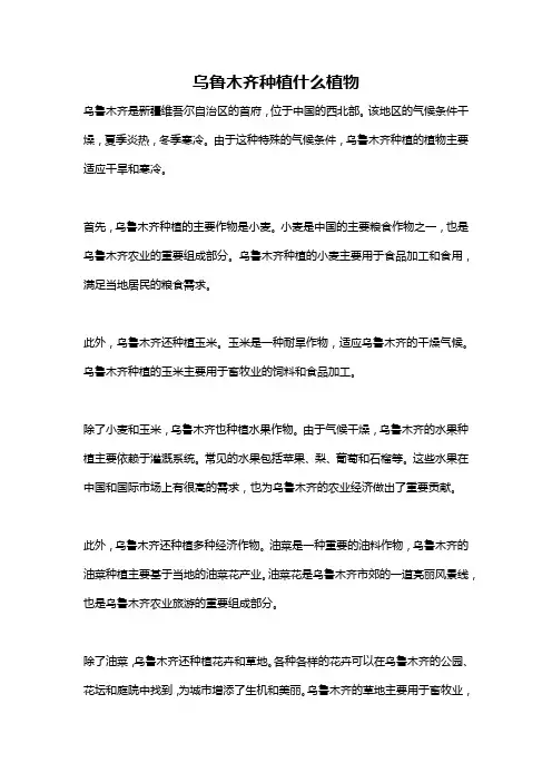 乌鲁木齐种植什么植物
