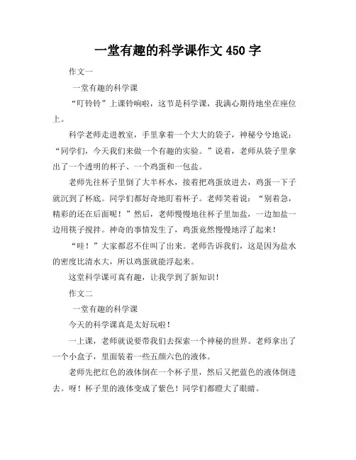 一堂有趣的科学课作文450字