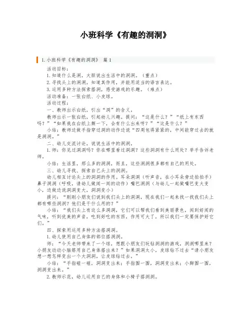 小班科学《有趣的洞洞》
