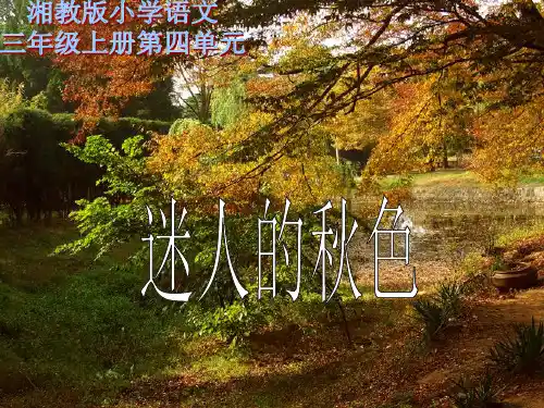 《迷人的秋色》课件(湘教版三年级上册语文课件)