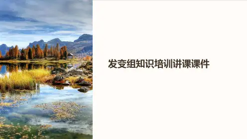 发变组知识培训讲课课件