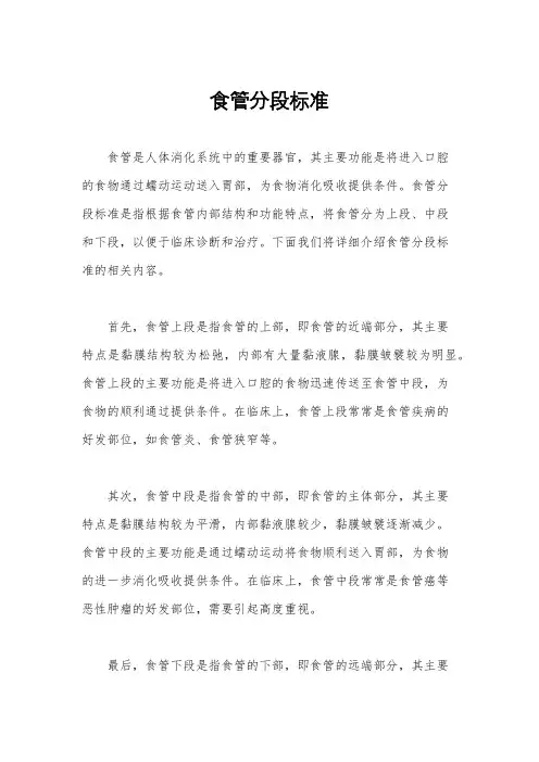 食管分段标准