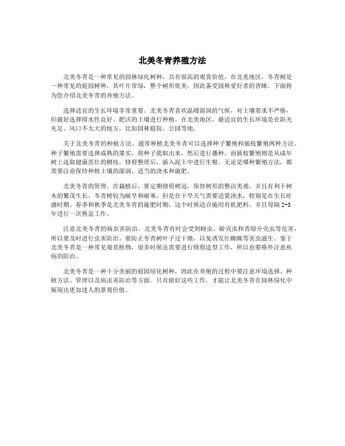 北美冬青养殖方法