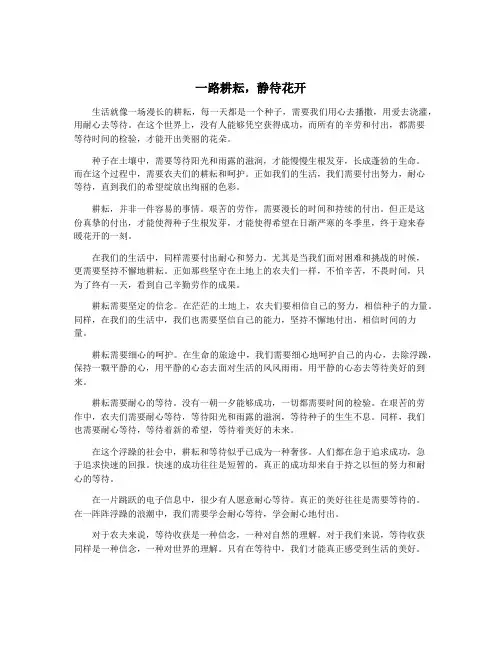 一路耕耘,静待花开