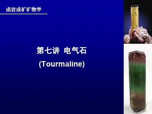 南京大学地科院-成岩成矿矿物学-第八讲-电气石