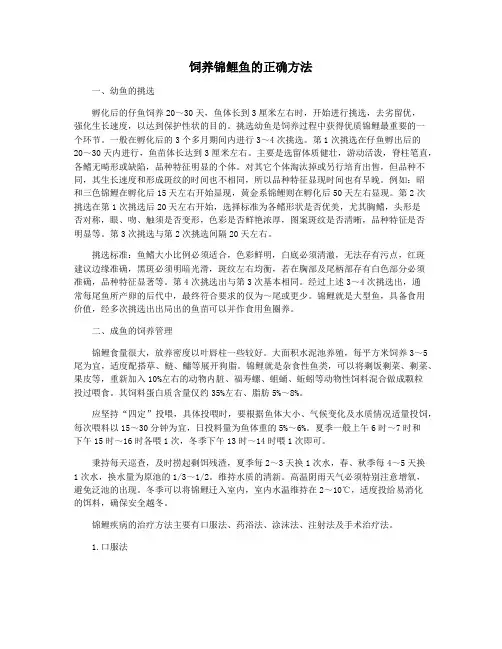饲养锦鲤鱼的正确方法