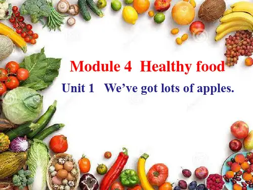Module 4  Unit 1  2022-2023学年外研版七年级英语上册